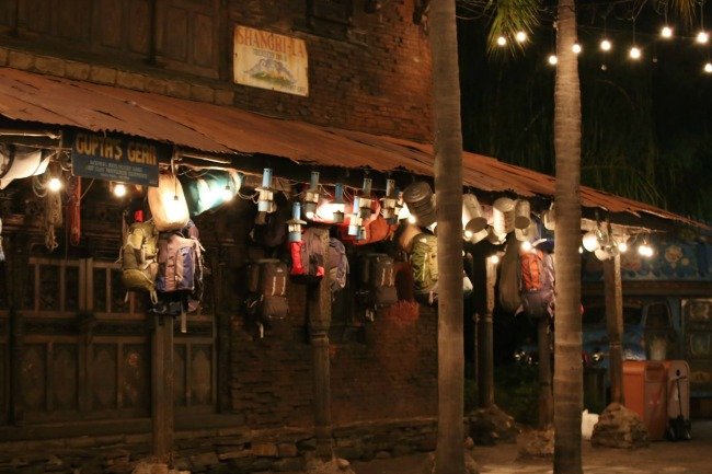 Disney's Animal Kingdom at Night