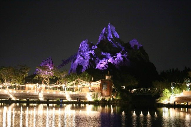 Disney's Animal Kingdom at Night
