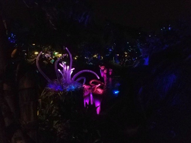 Disney's Animal Kingdom at Night