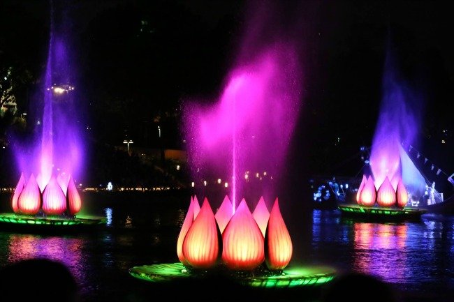 Disney's Animal Kingdom at Night