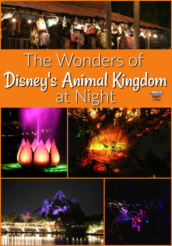 Disney's Animal Kingdom at Night