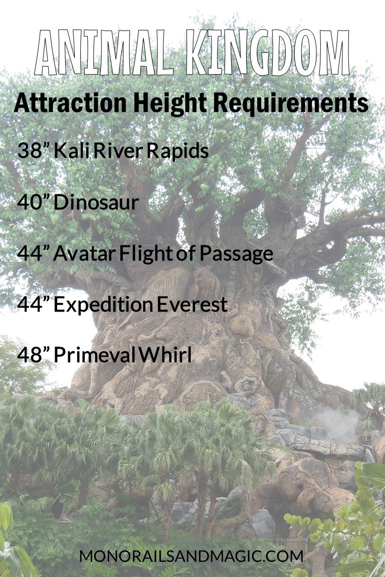 Walt Disney World Attraction Height Requirements for Animal Kingdom
