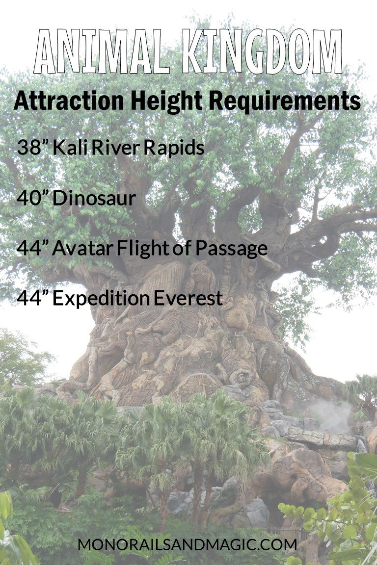 List of Walt Disney World height requirements for Animal Kingdom.