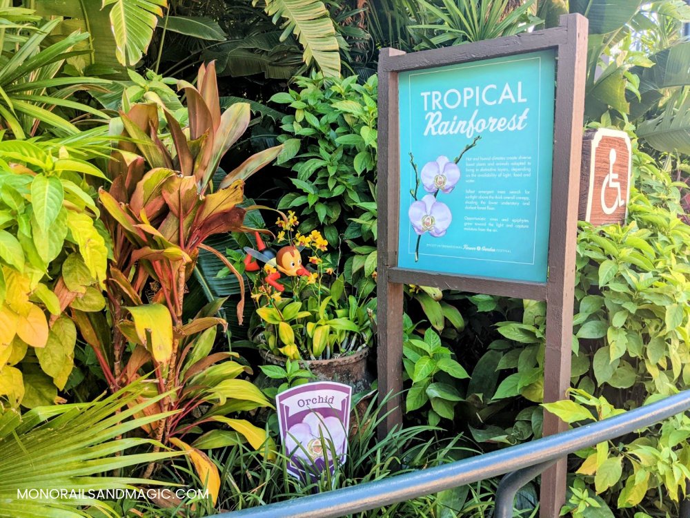 Tropical rainforest at the Mexico pavilion in Epcot.